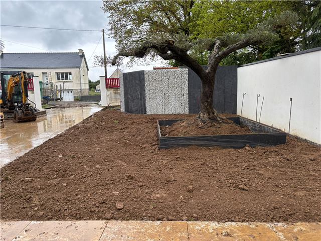 Terrain préparé autour d’un arbre et de bordures